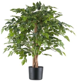 Kunstpflanze Ficus benjamina | Grün