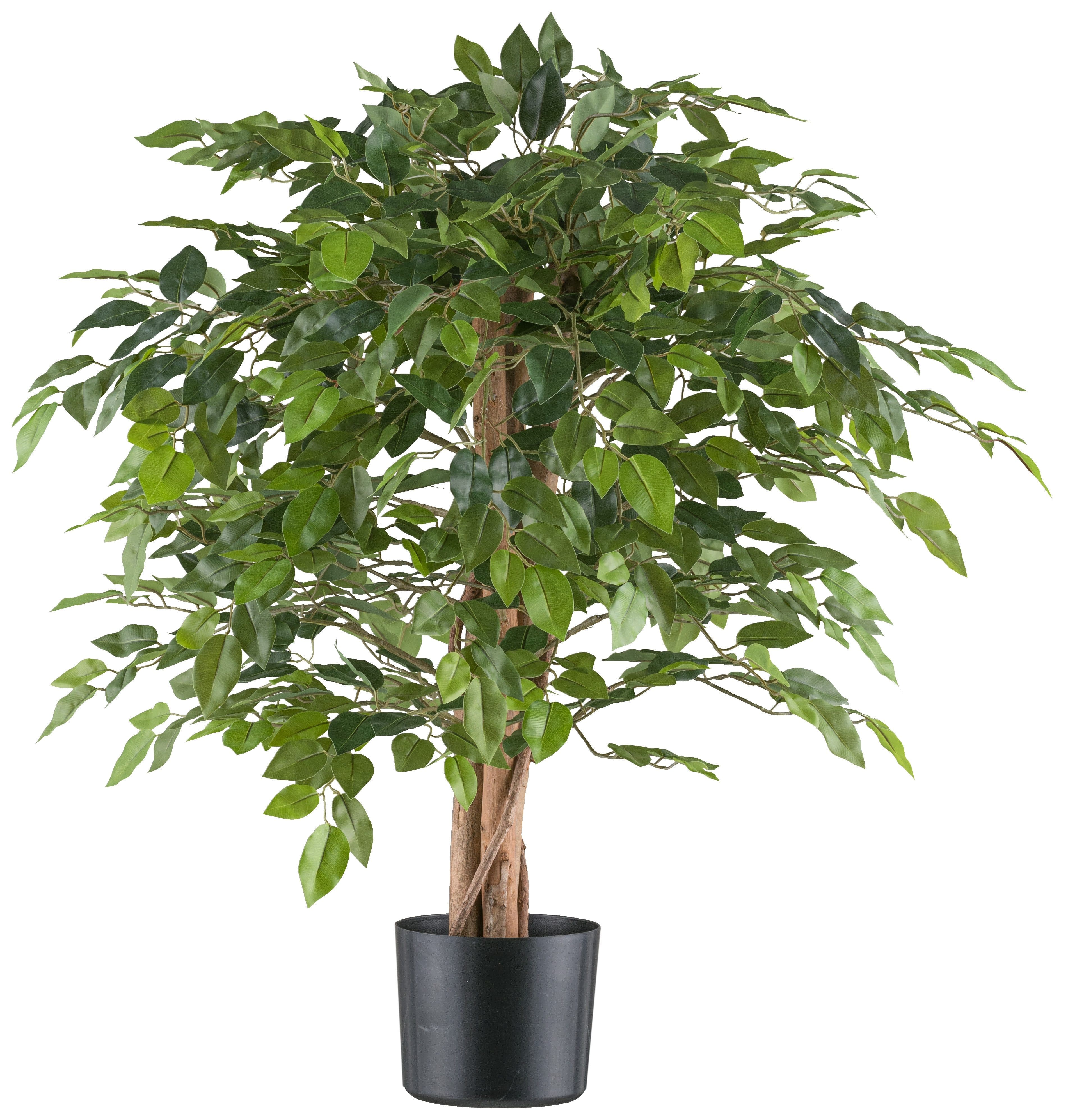 Kunstpflanze Ficus benjamina | Grün
