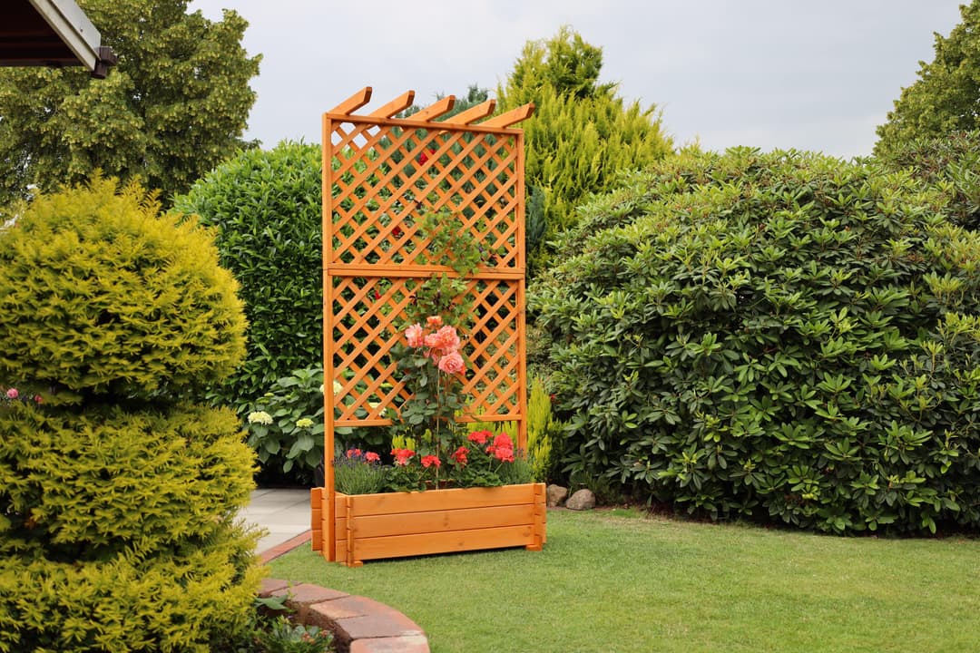 Promadino Spalier Pergola | Braun