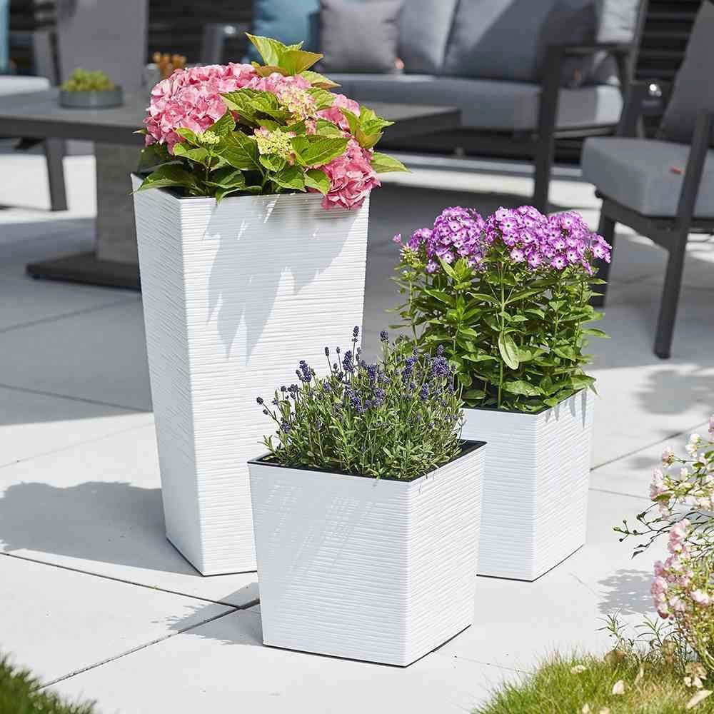 Siena Garden Pflanzkübel | Weiß