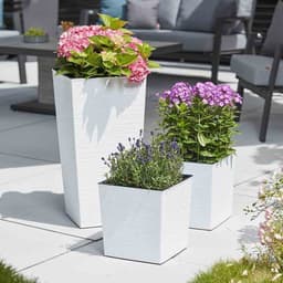 Siena Garden Pflanzkübel | Weiß