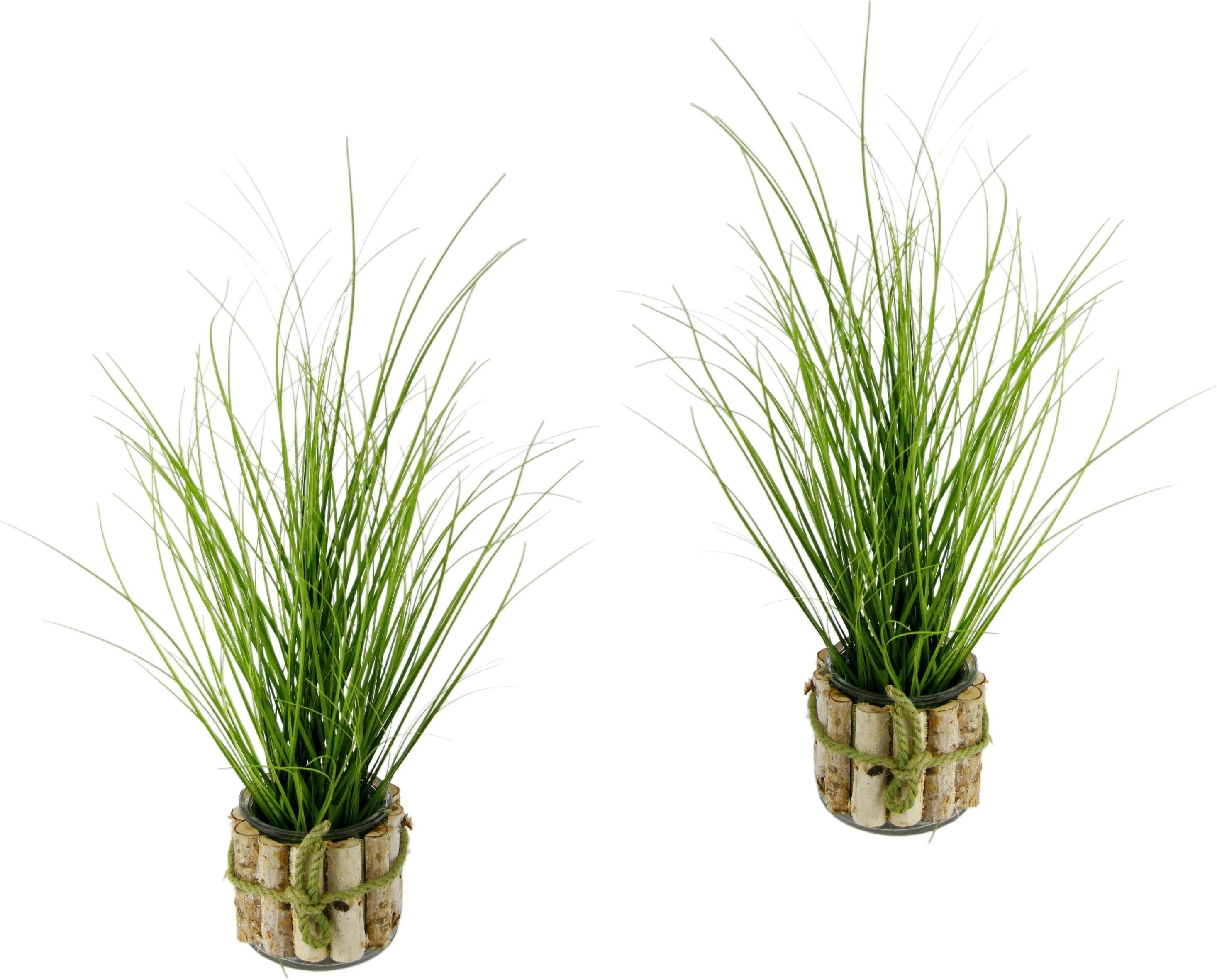 Kunstpflanze Gras | Grün