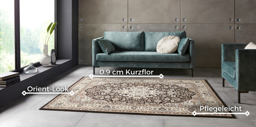 HANSE Home Teppich Skazar Isfahan | Braun