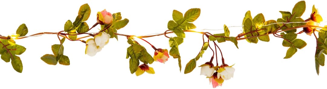 Näve LED-Lichterkette Röschen | Mehrfarbig