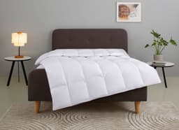 OTTO home Gänsedaunenbettdecke Litrone | Weiß