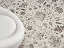 merinos Teppich Creation 50112 | Beige 3