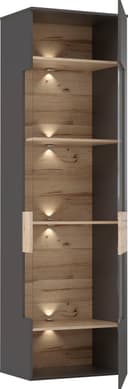 FORTE Vitrine Como | Grau 4