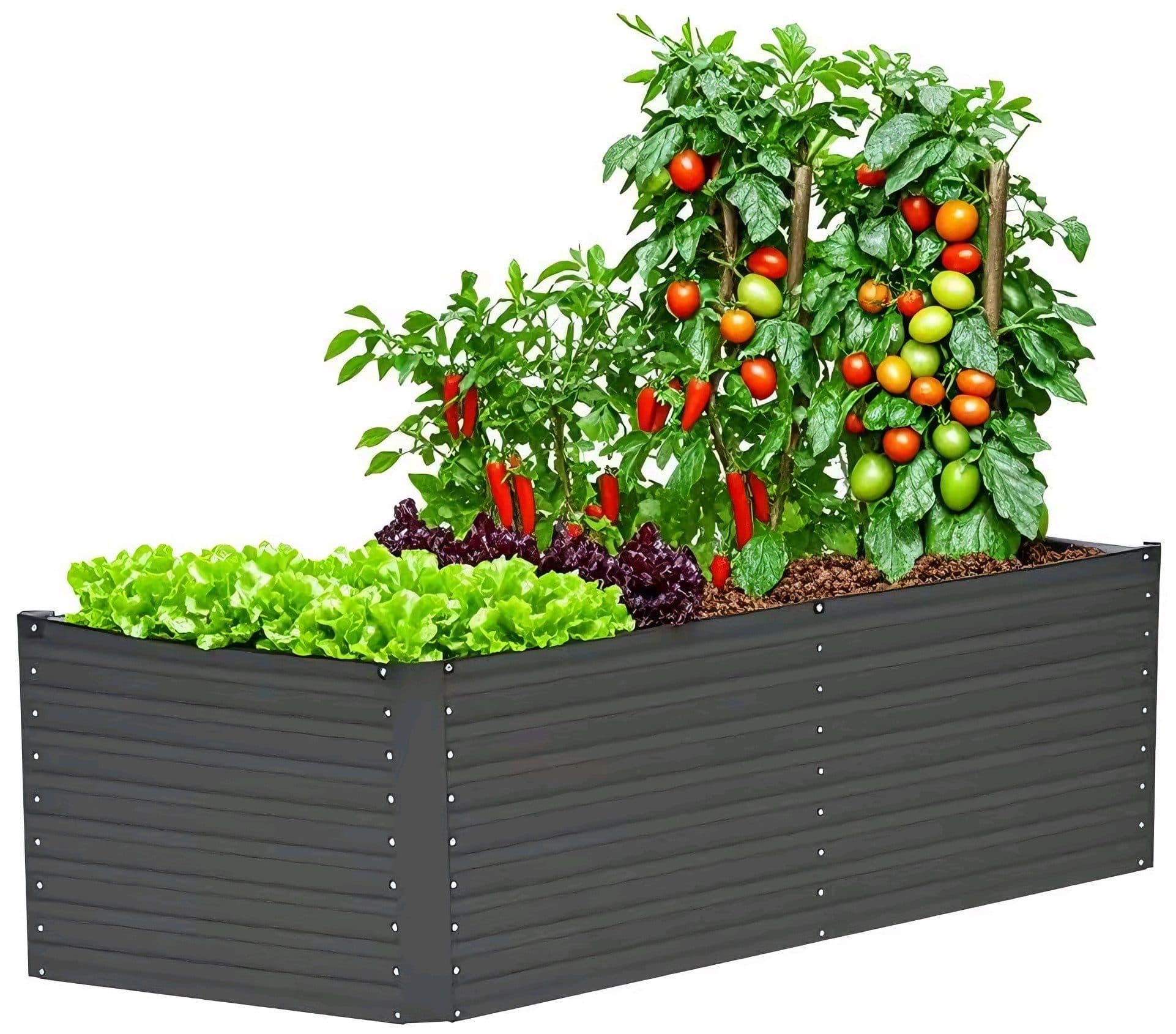 KONIFERA Hochbeet Emmy | Schwarz