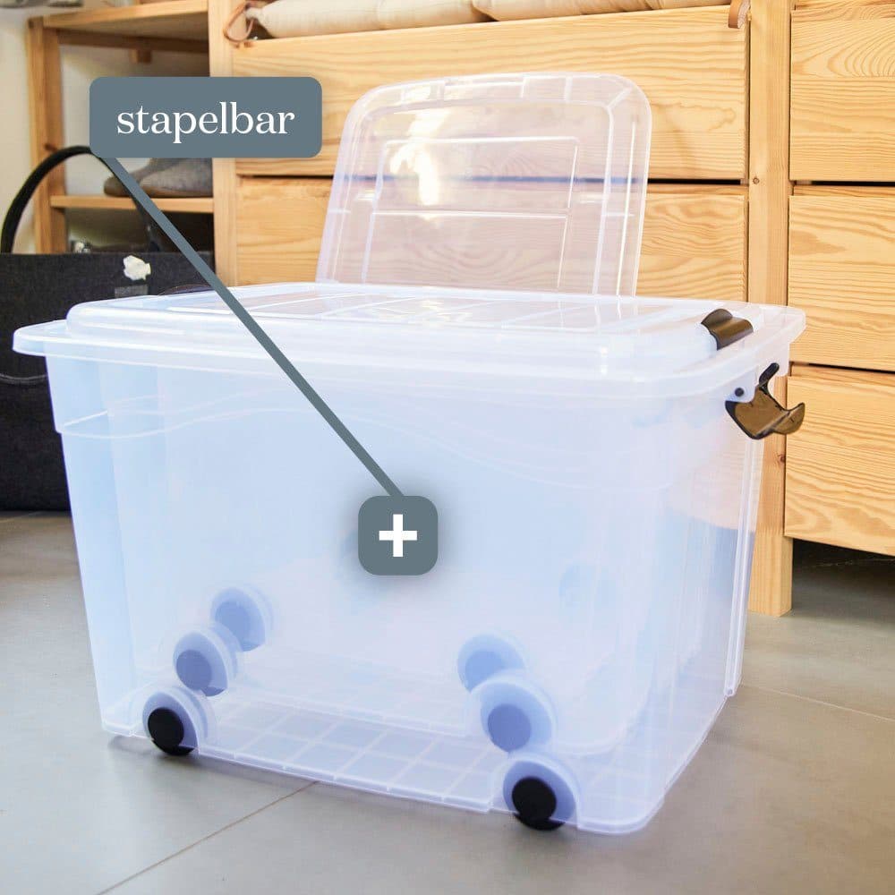 Siena Home Aufbewahrungsbox Anzio | Transparent