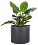 Scheurich PANZANO Blumentopf | Schwarz 4