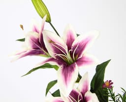 Kunstpflanze Lilien | Rosa