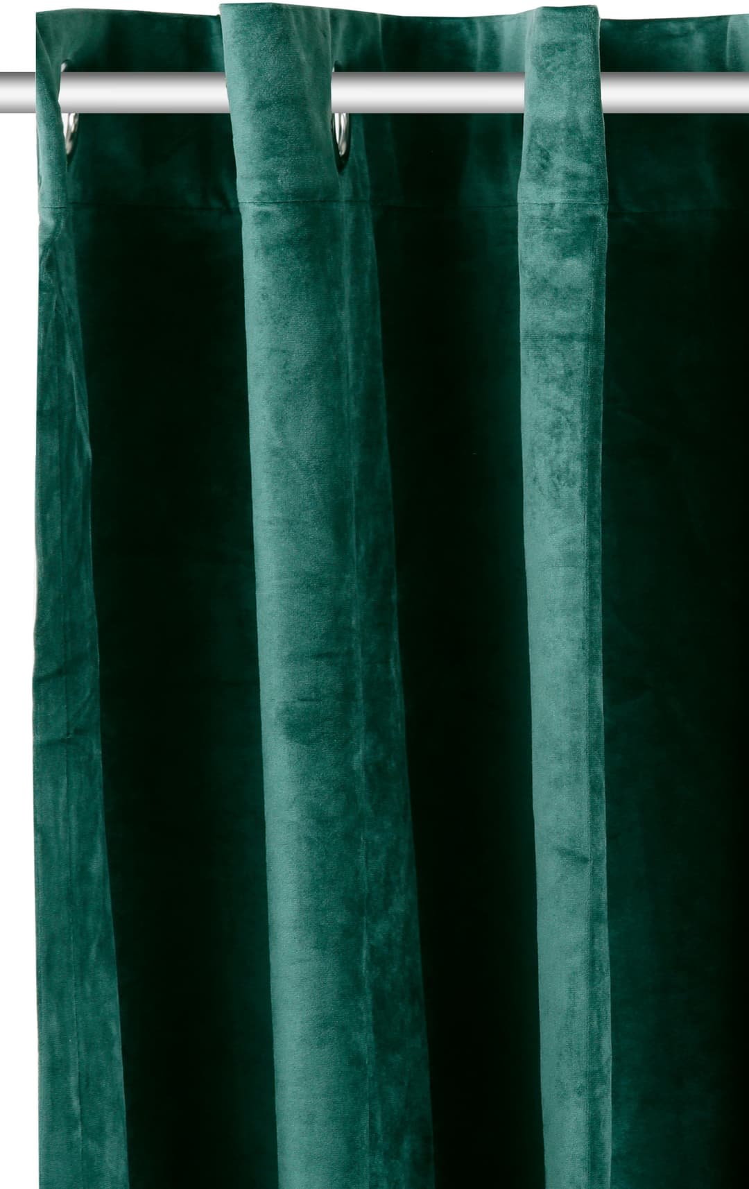 OTTO home Vorhang Velvet Uni | Grün