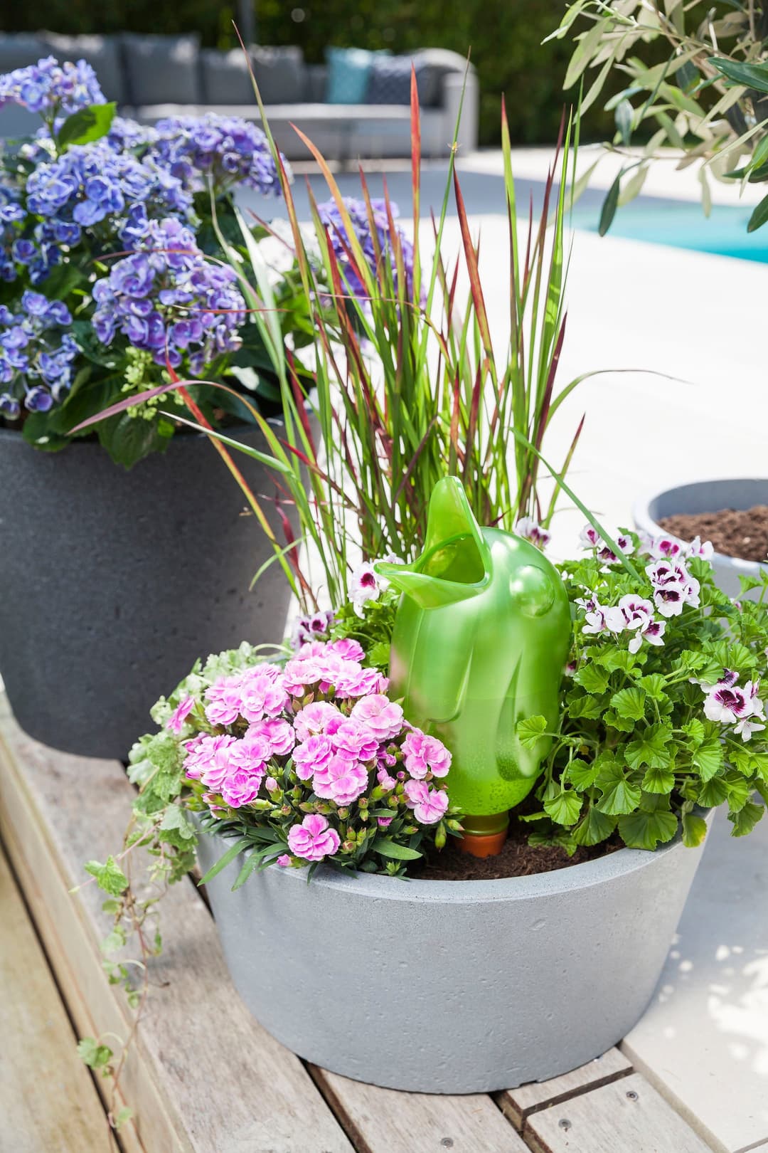 Scheurich Blumentopf 40/239 C-CONE BOWL | Grau