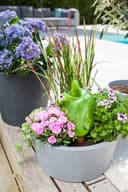 Scheurich Blumentopf 40/239 C-CONE BOWL | Grau 2