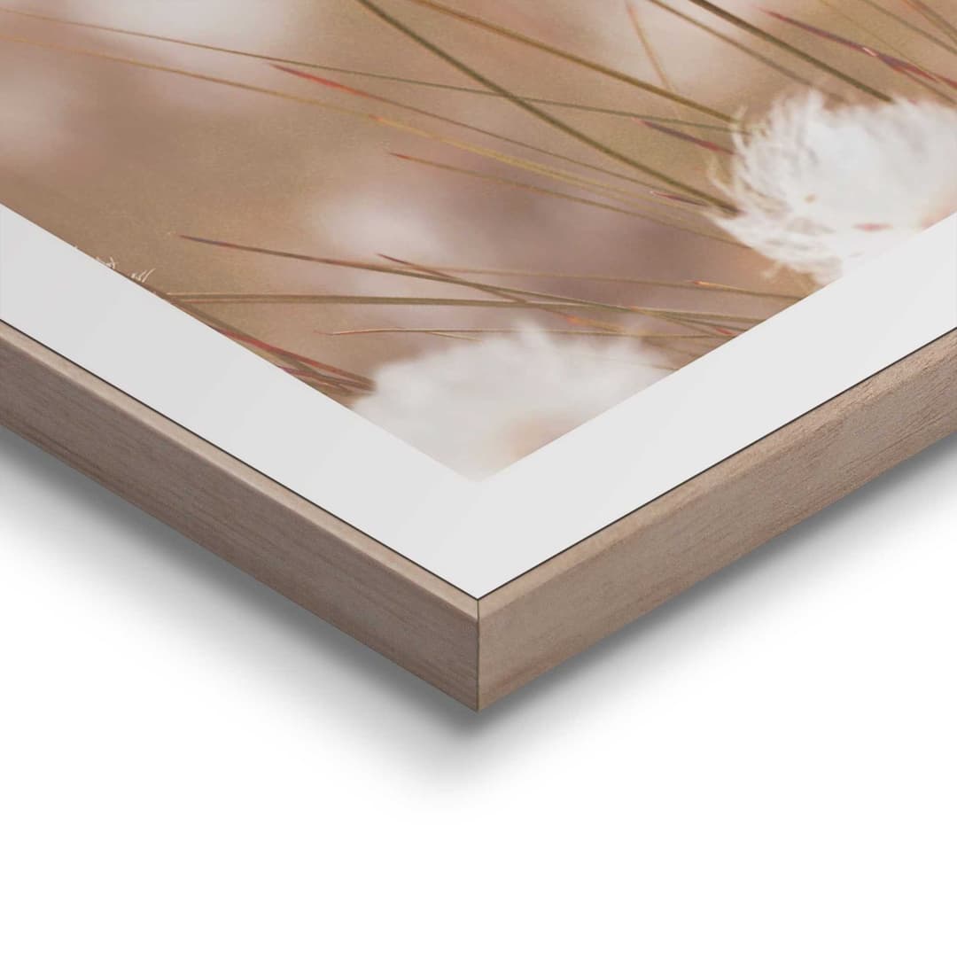 Reinders! Bild mit Rahmen Cotton Pops | Beige