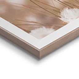 Reinders! Bild mit Rahmen Cotton Pops | Beige