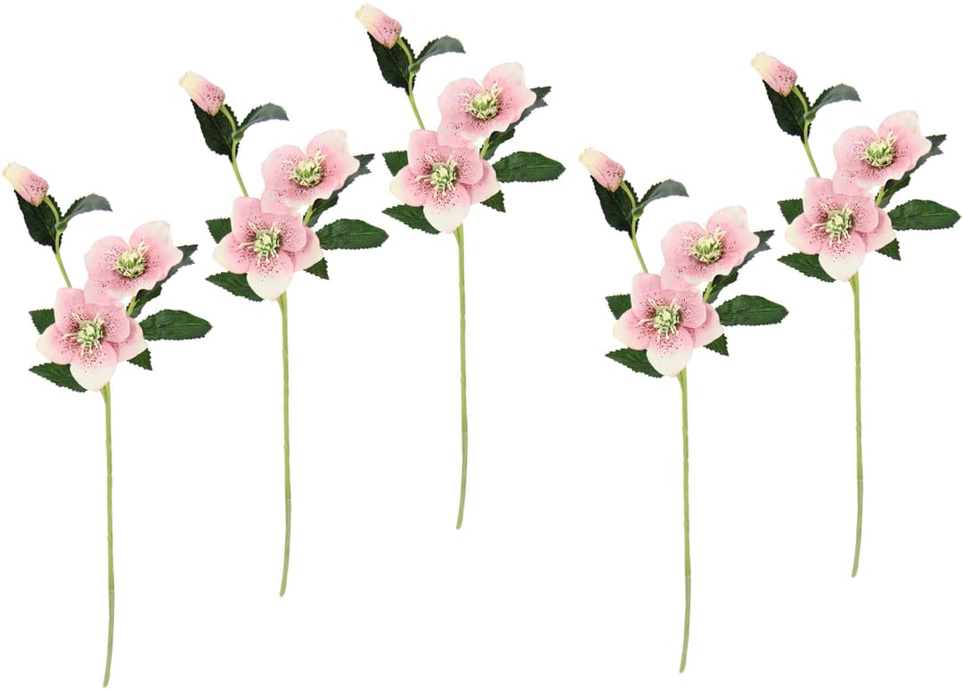 I.GE.A. Kunstblume Christrose | Rosa