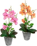 Kunstpflanze Orchidee | Mehrfarbig
