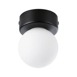 Paulmann Deckenleuchte Selection Bathroom Gove | Schwarz