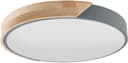 Näve LED Deckenleuchte Borneo | Grau 5