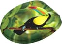 Sanilo WC-Sitz Toucan | Mehrfarbig 2
