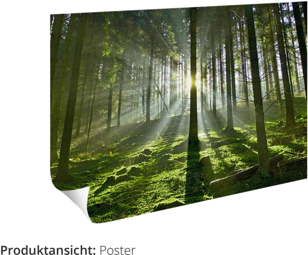 Artland Poster Küchenkräuter & Küchenhelfer Set | Mehrfarbig