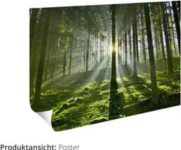 Artland Poster Küchenkräuter & Küchenhelfer Set | Mehrfarbig
