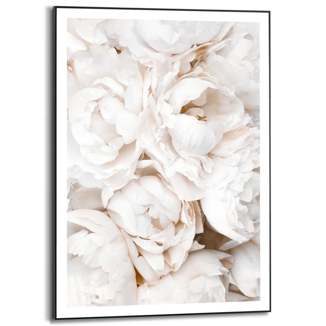 Reinders! Bild mit Rahmen White Roses | Weiß