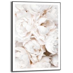 Reinders! Bild mit Rahmen White Roses | Weiß