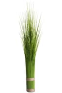 Botanic-Haus Grasarrangement | Grün