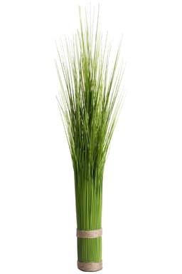 Botanic-Haus Grasarrangement | Grün
