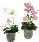 Kunstpflanze Orchidee | Mehrfarbig
