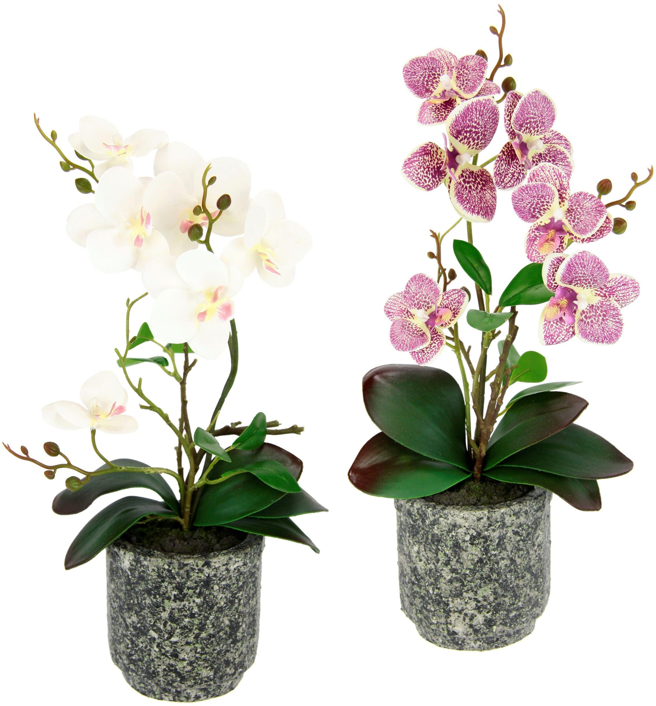 Kunstpflanze Orchidee | Mehrfarbig