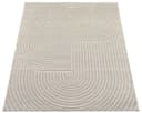the carpet Teppich Santo Plus | Beige 2