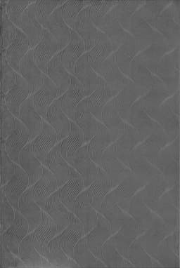 the carpet Teppich Rio | Grau