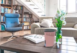 WENKO Luftentfeuchter Drop | Rosa