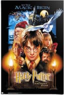 Reinders! Poster Harry Potter | Mehrfarbig