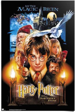 Reinders! Poster Harry Potter | Mehrfarbig