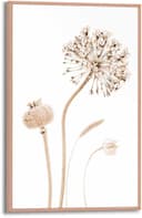 Reinders! Poster Trockenblumen | Beige