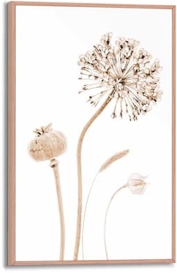 Reinders! Poster Trockenblumen | Beige