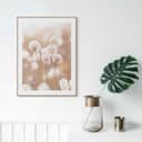 Reinders! Bild mit Rahmen Cotton Pops | Beige 3