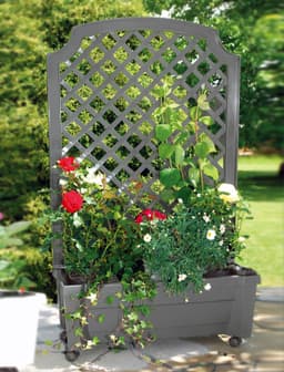 KHW Spalier | Grau