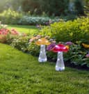 Näve LED Solarleuchte Mantar Pilze | Mehrfarbig 3