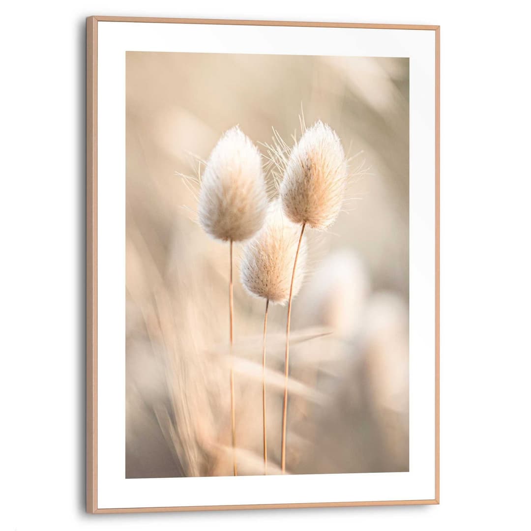 Reinders! Poster Plumes | Beige