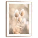 Reinders! Poster Plumes | Beige