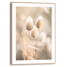 Reinders! Poster Plumes | Beige