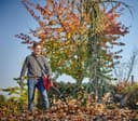 Einhell Akku-Laubbläser GP-LB 36/210 Li E-Solo | Rot 2