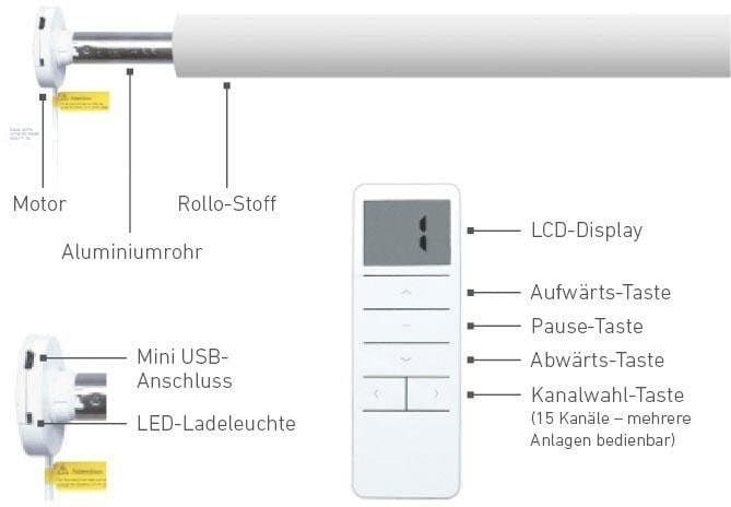 Elektrisches Rollo Vau | Grau