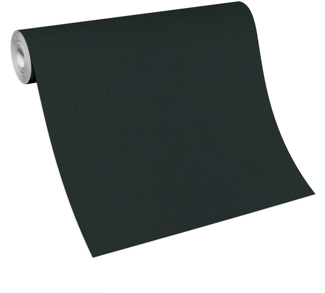 Erismann Vliestapete Colour Passion | Schwarz
