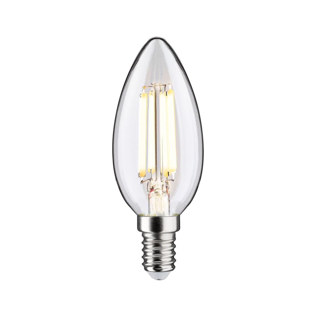 Paulmann LED-Leuchtmittel Eco-Line Filament | Transparent